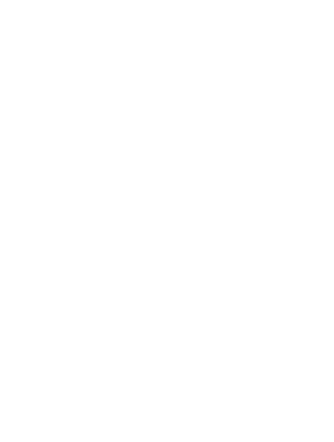 स्मृति दर्पण 